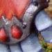 Reaver 1
